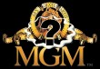 Stále otázniky MGM ...